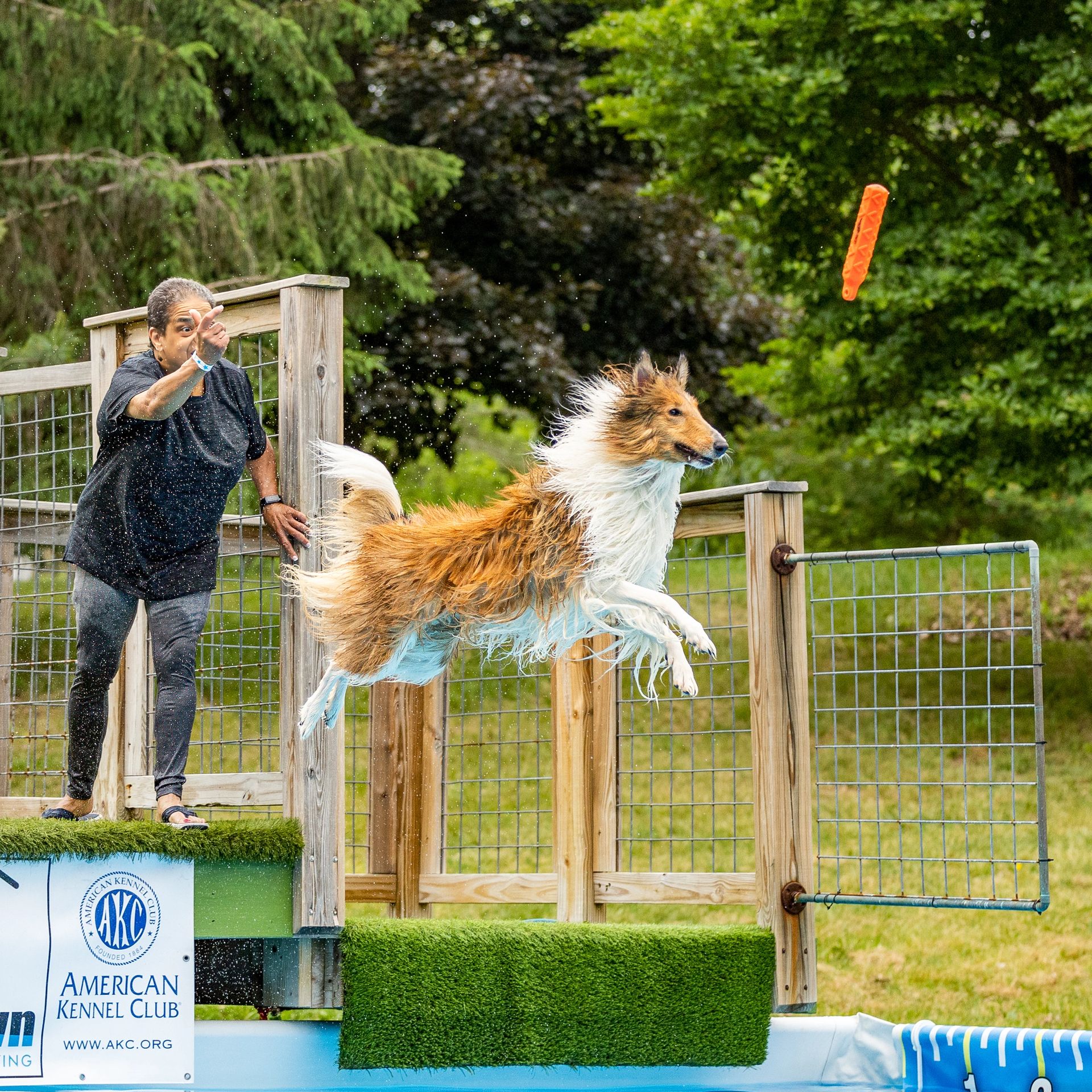 Dock diving action photography at Splash Town Warwick